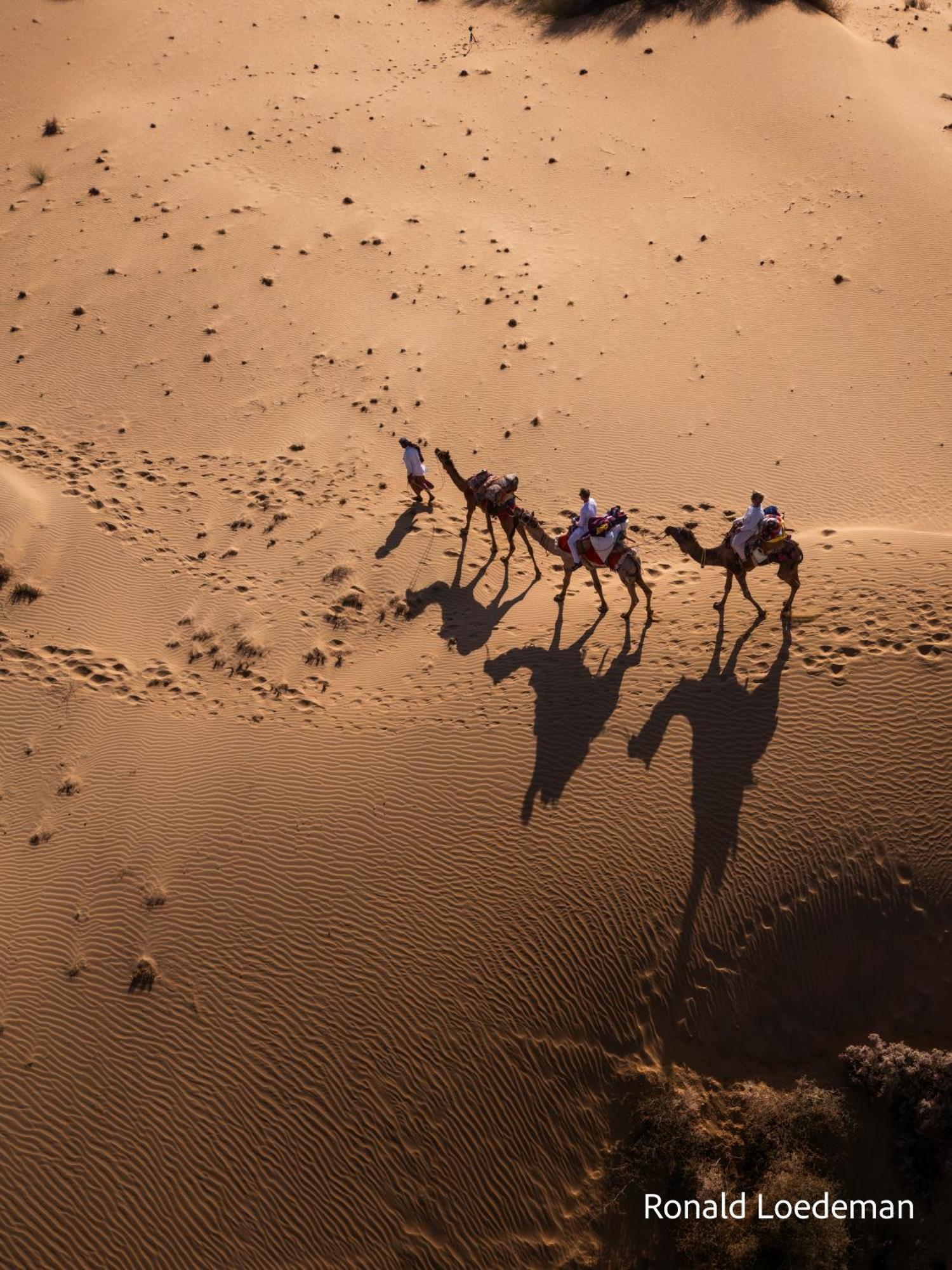 Crazy Camel Hotel & Safari Jaisalmer Exterior foto